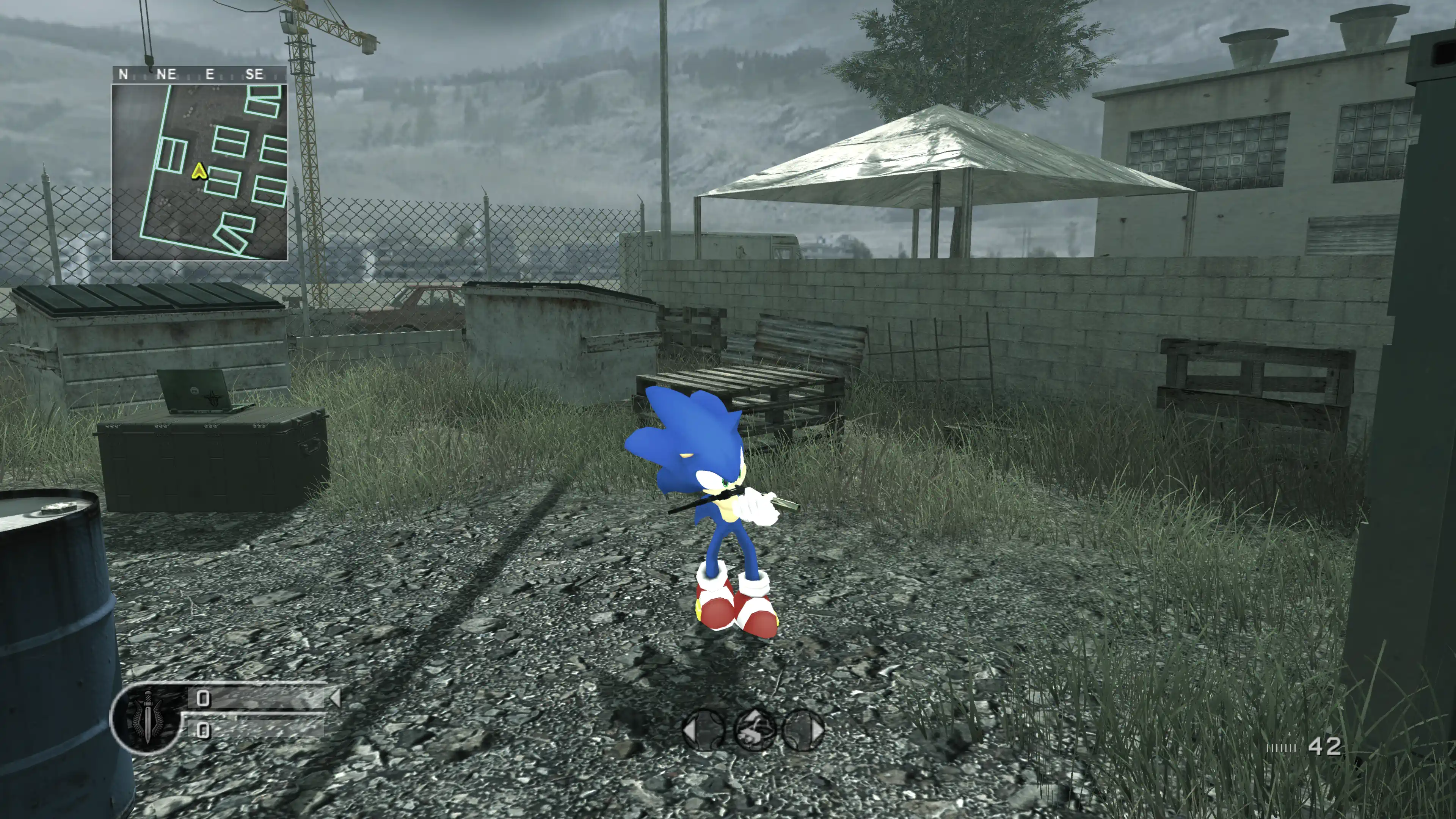 Sonic custom model in-game